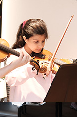 Violin